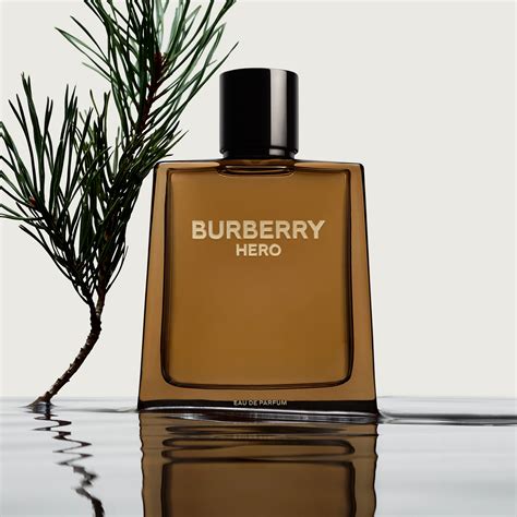 burberry vanilla fragrance|best burberry fragrance for men.